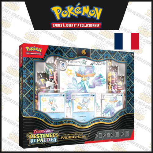 Pokémon EV04.5 : Coffret Premium Ex