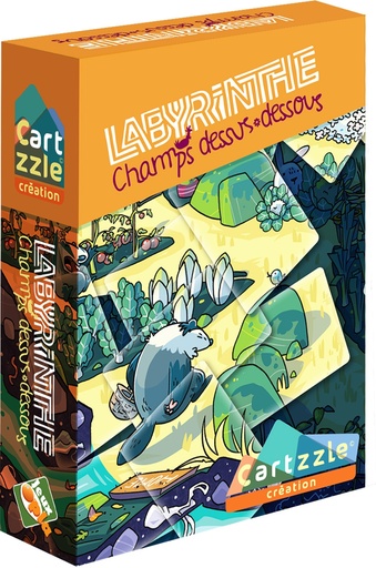 Cartzzle labyrinthe champs dessus dessous